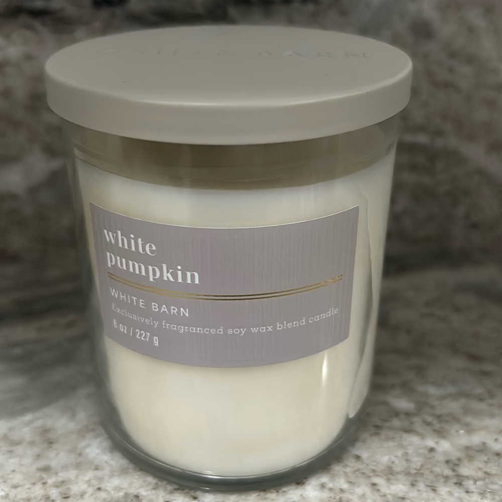 Bath & Body Works White Pumpkin Single Wick Candle